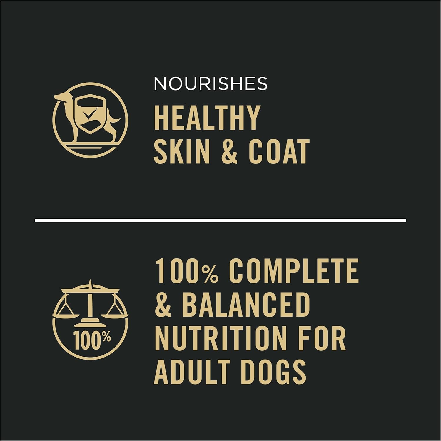 High Protein, Gravy Adult Wet Dog Food - (12) 13 Oz. Cans