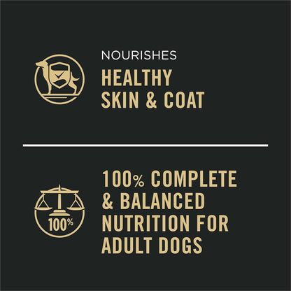 High Protein, Gravy Adult Wet Dog Food - (12) 13 Oz. Cans